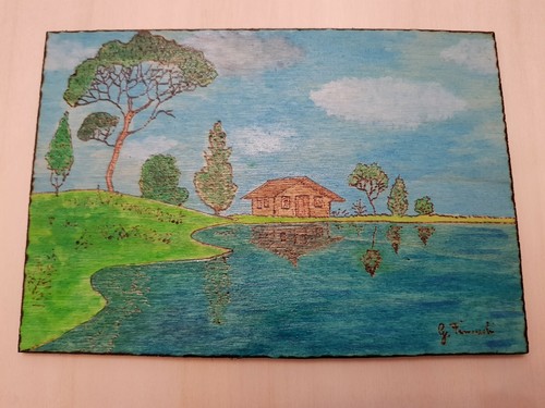 Quadro pirografato dipinto a - quadro,